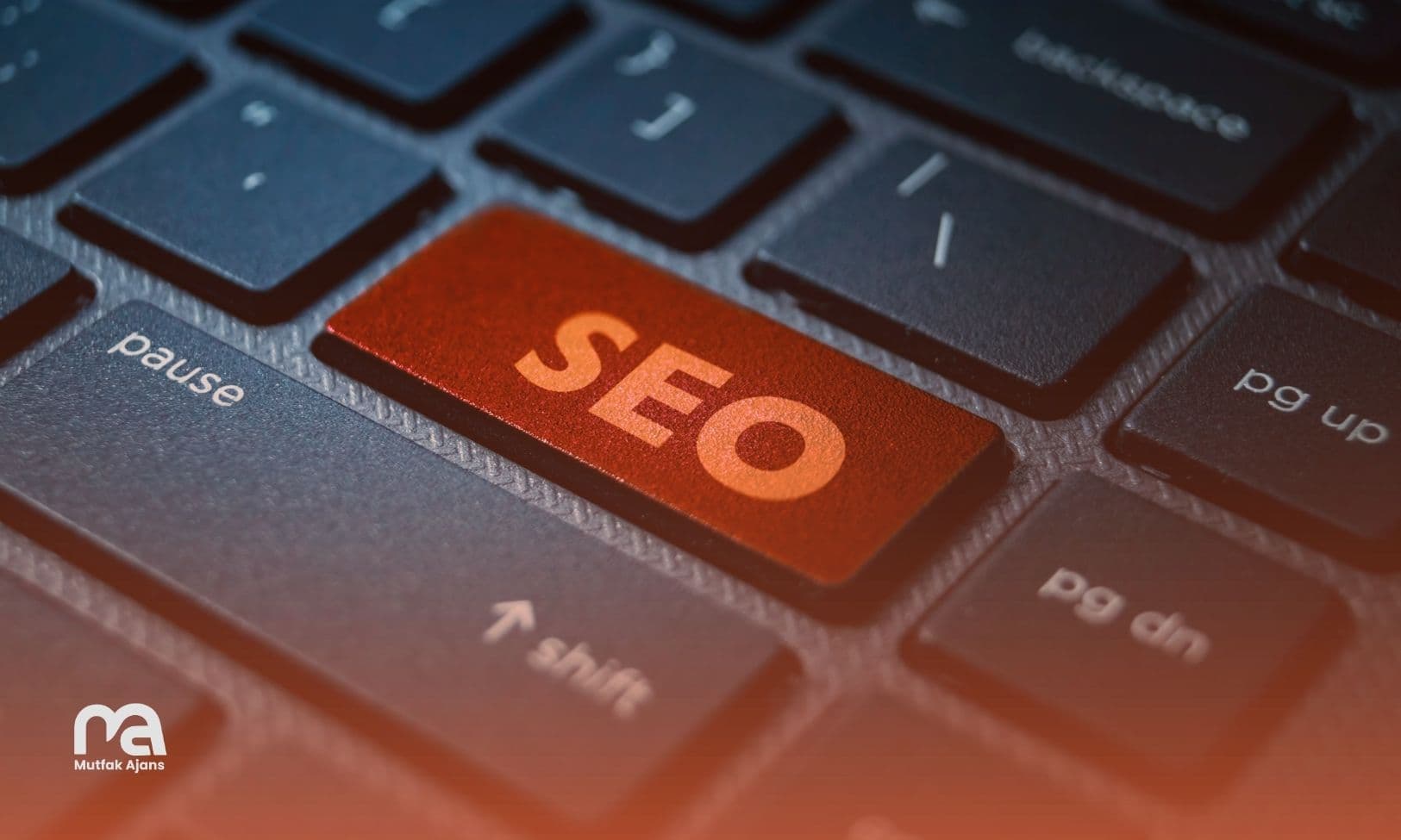 SEO ve sosyal medya entegrasyonu nasıl yapılır?
